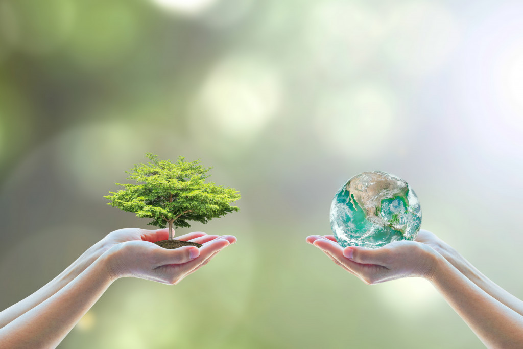 One person holding a tree in her hands. Another holding the Earth