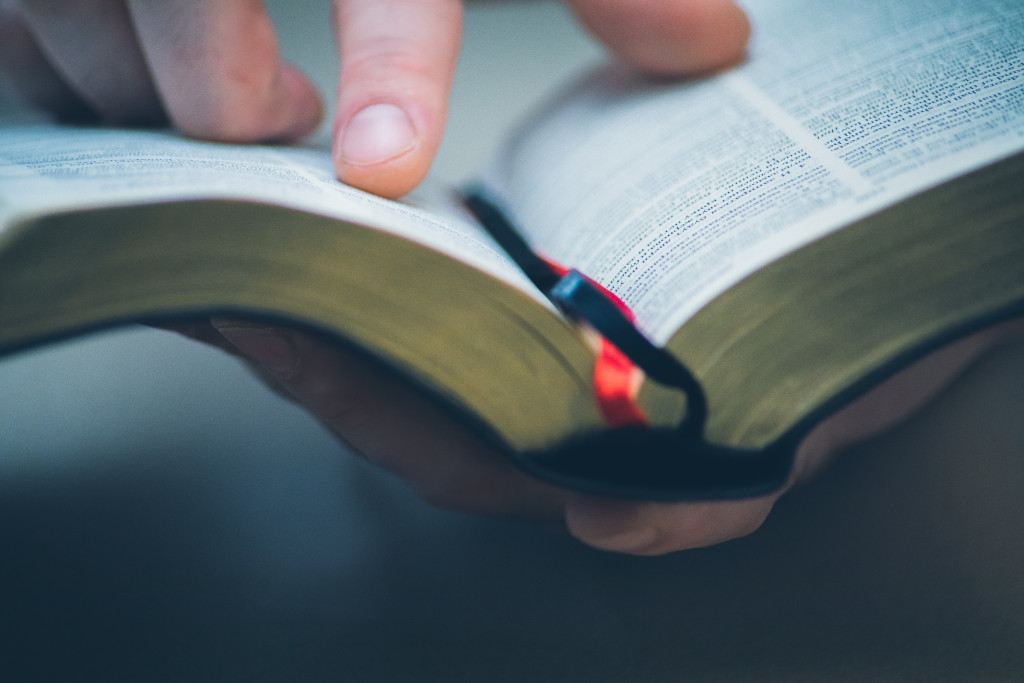 reading a book with a bookmark in between